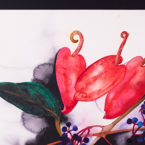 Kompositsioon flamingolilledega