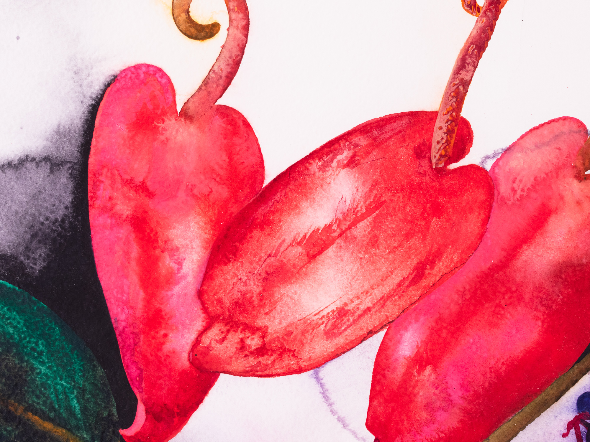 Kompositsioon flamingolilledega