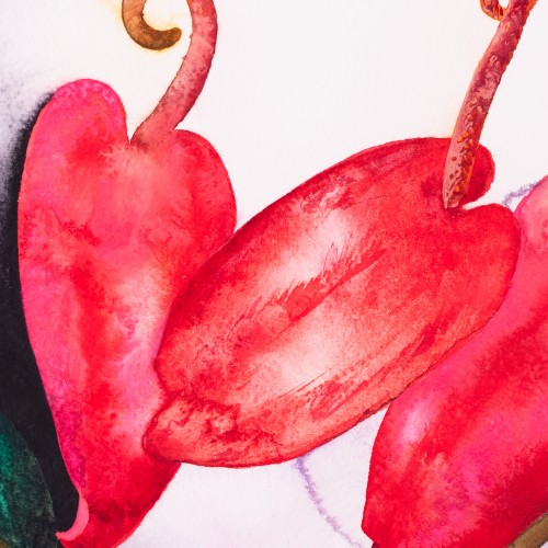 Kompositsioon flamingolilledega