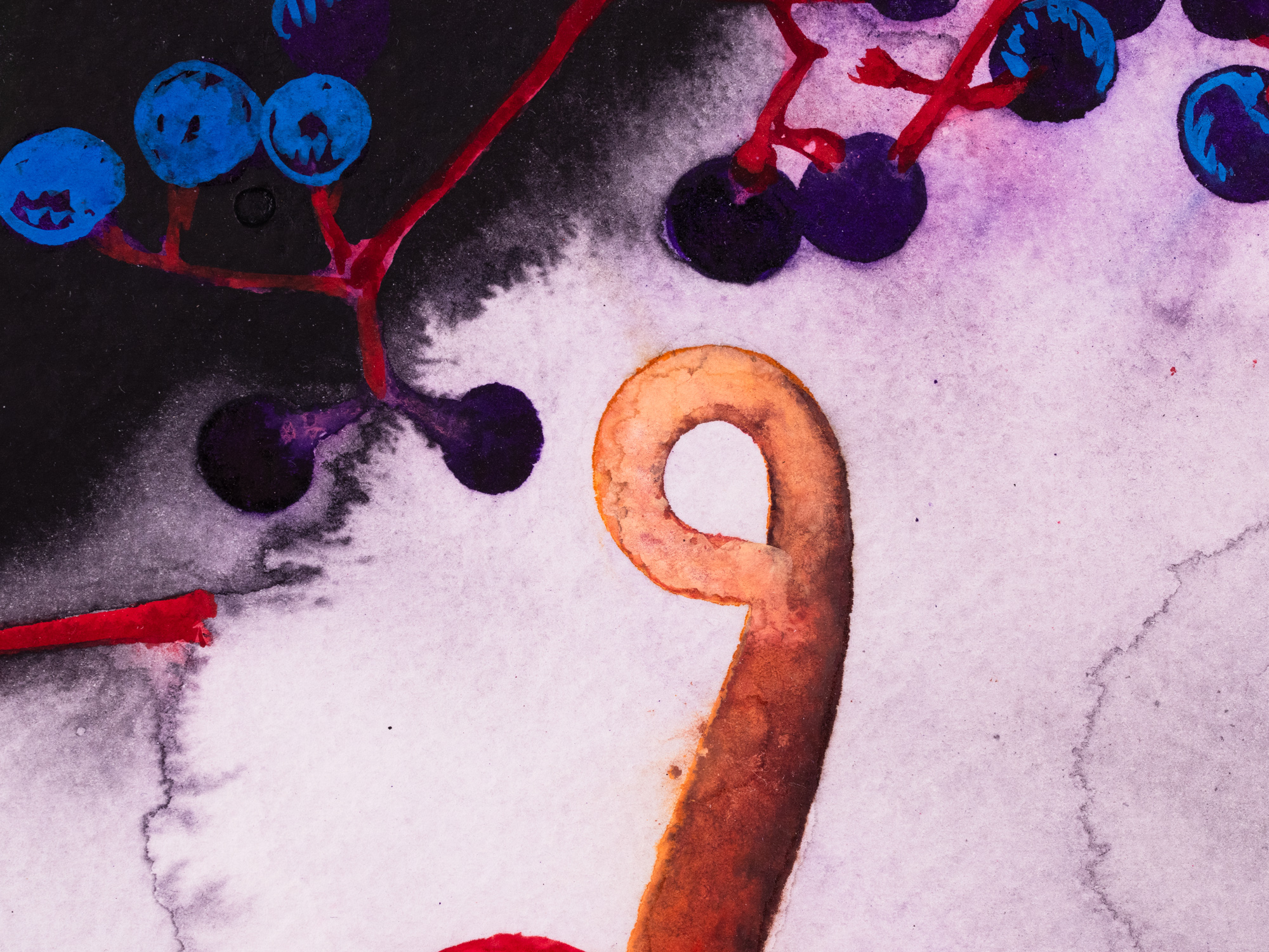 Kompositsioon flamingolilledega