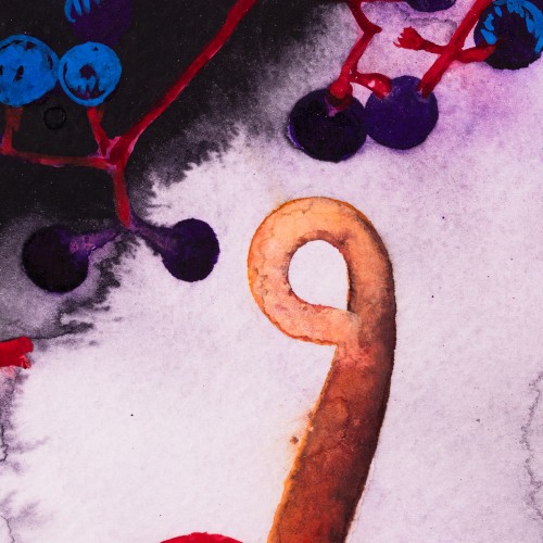 Kompositsioon flamingolilledega