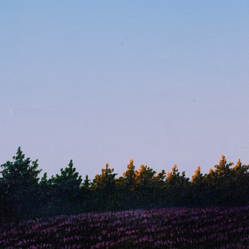 Toimunud