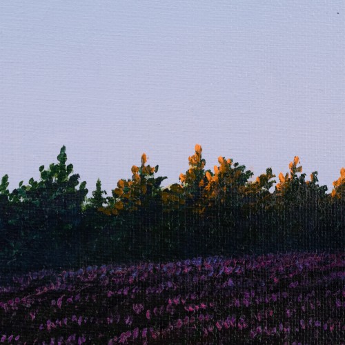 Toimunud