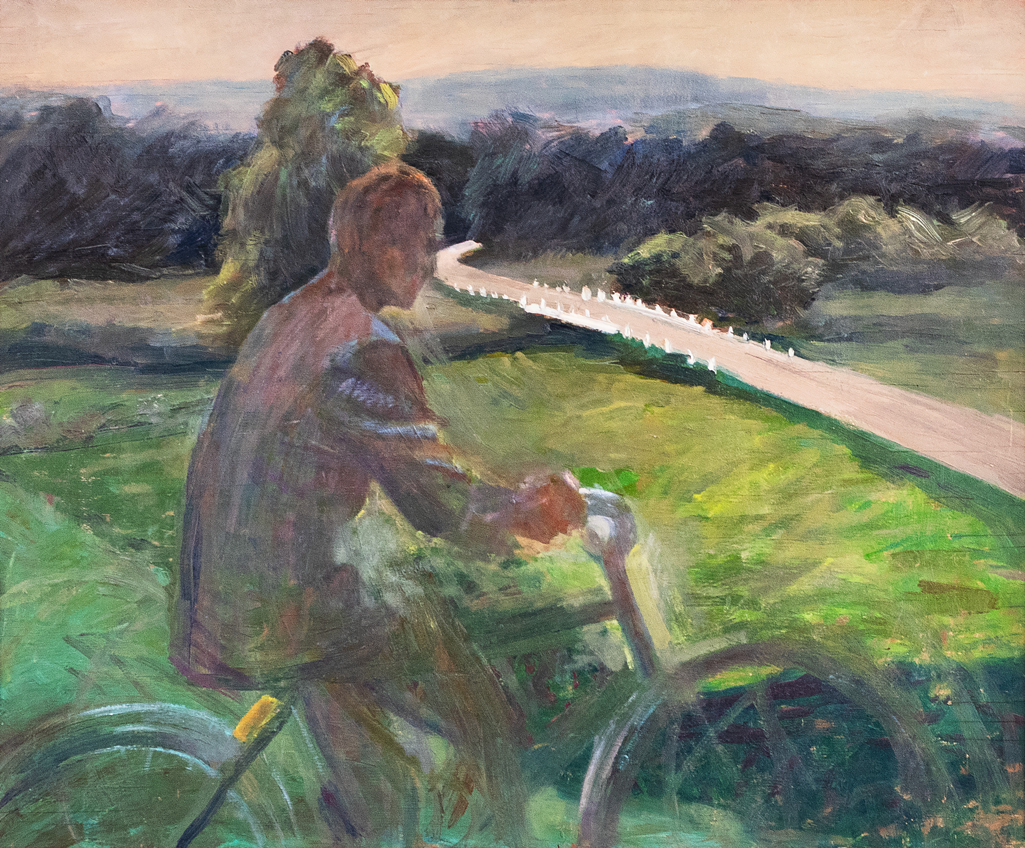 Landscape with a Bicycle