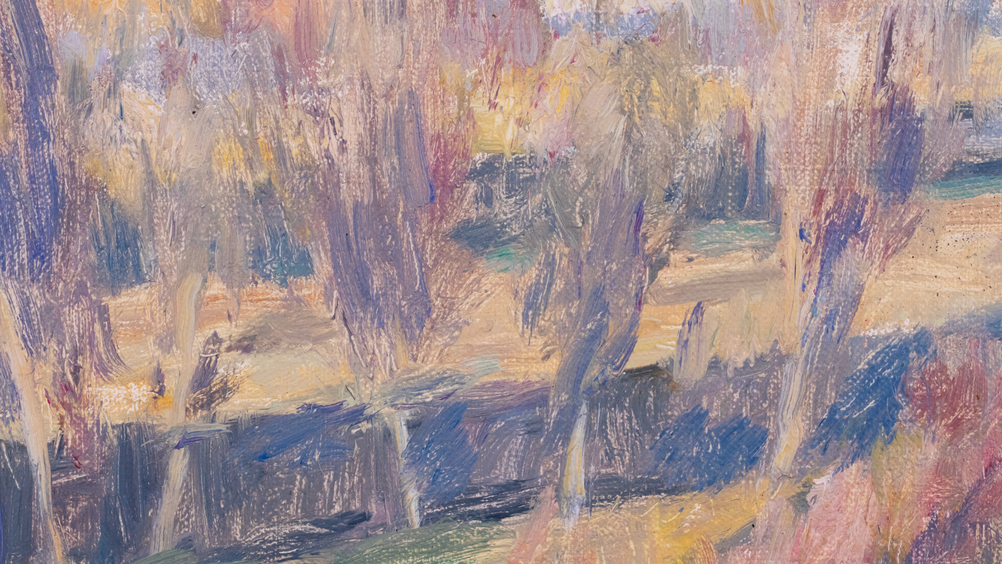 Viljandi vaade kirikutorniga