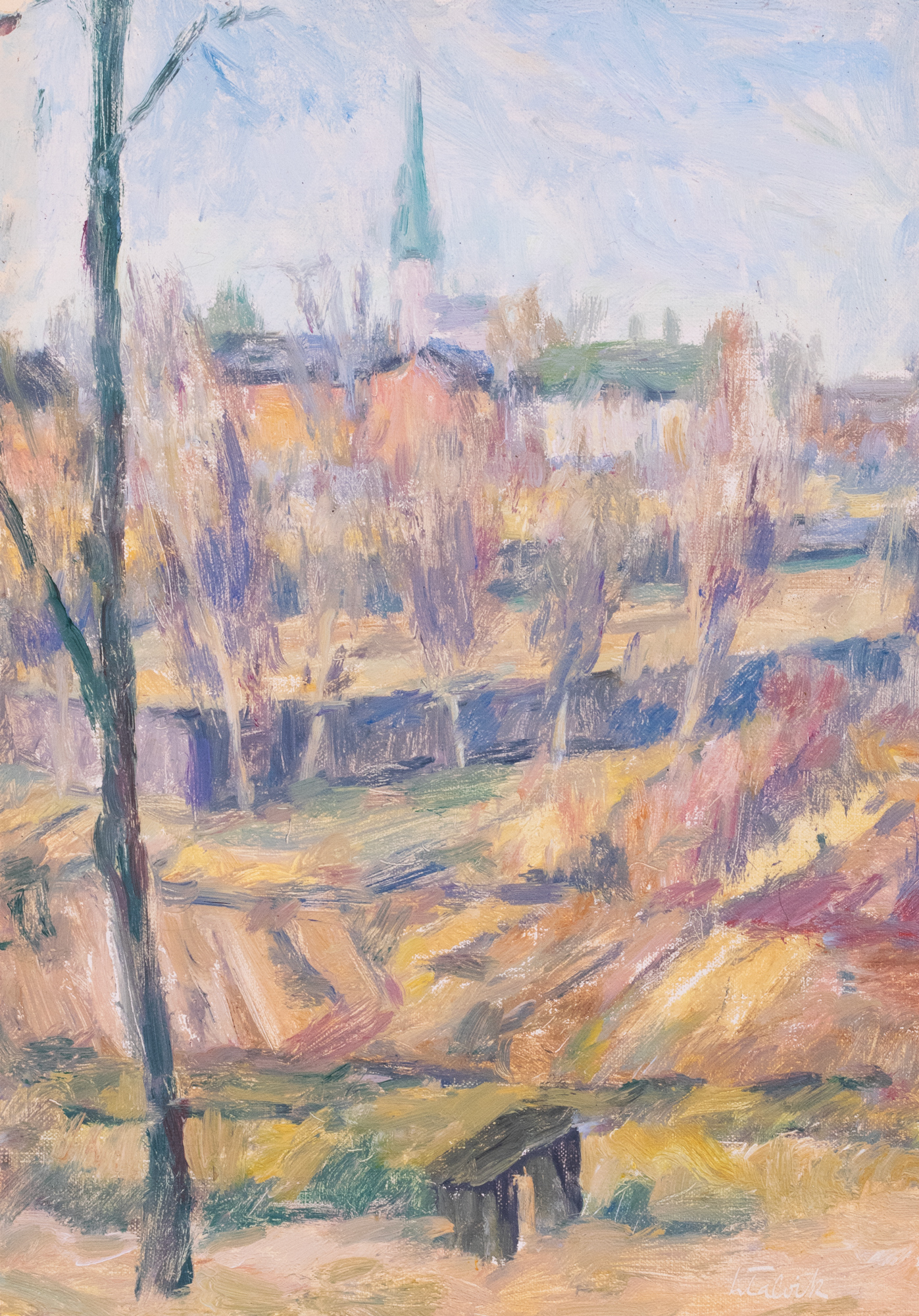 Viljandi vaade kirikutorniga