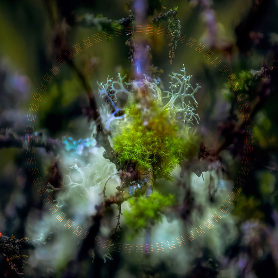 Kuuekümneneljandsüsteemi kalibreerimine