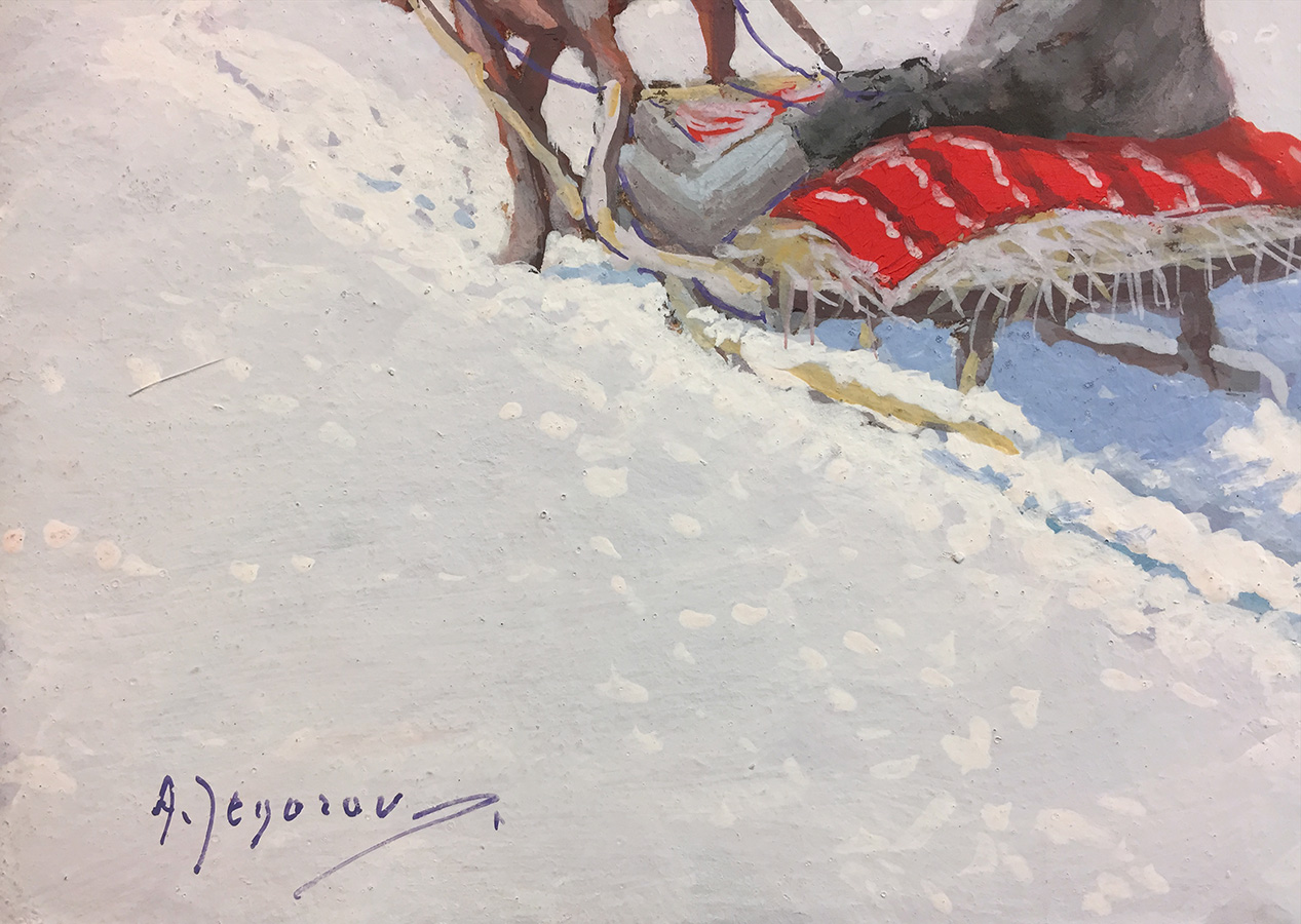 Saanisõitja päikeselisel päeval