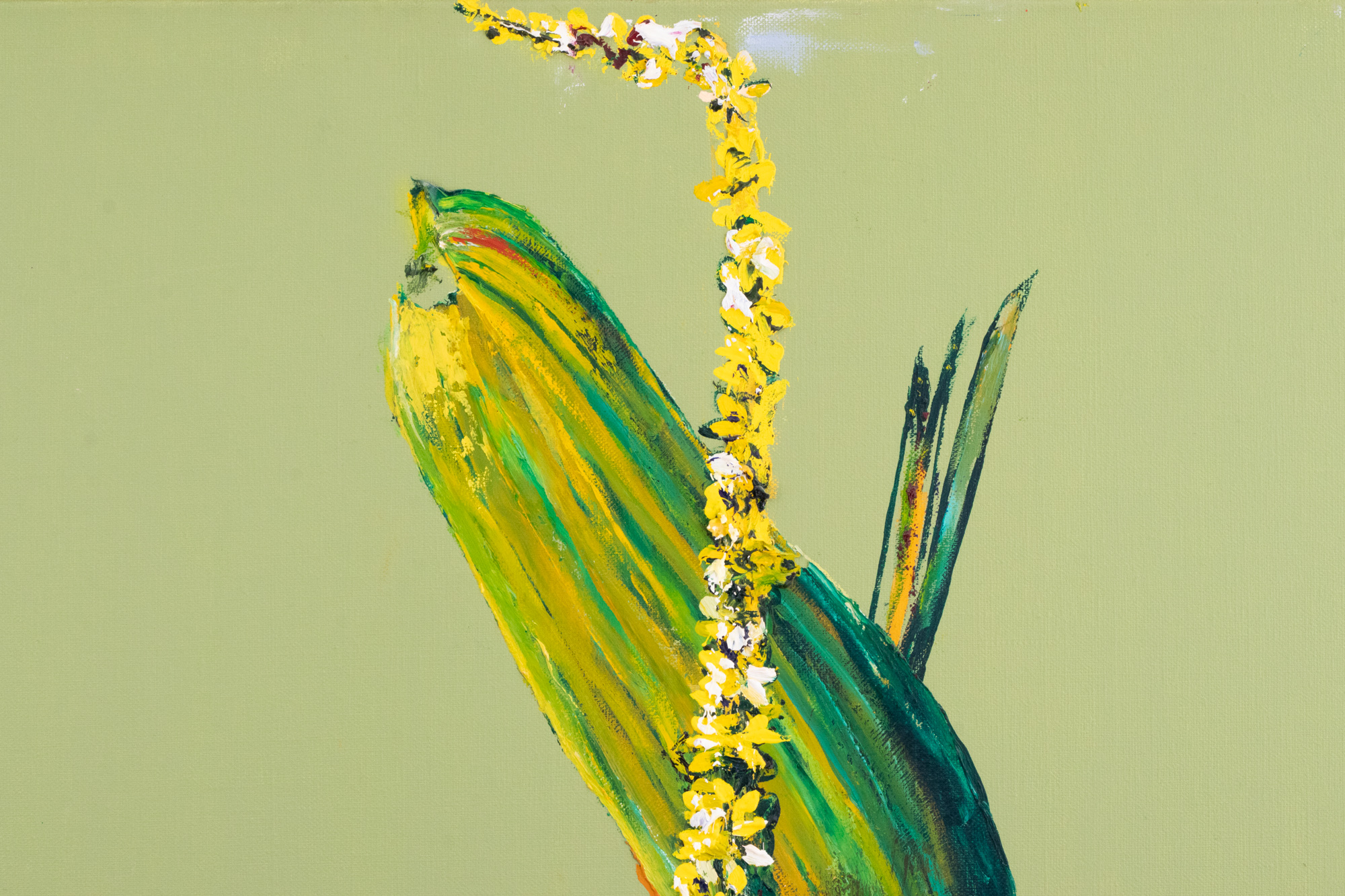 Great Mullein. Family Party