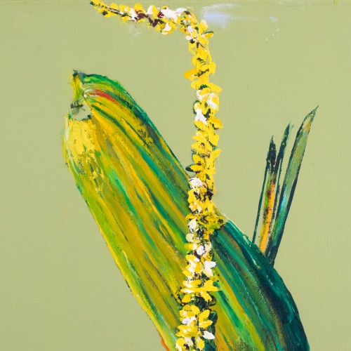 Great Mullein. Family Party