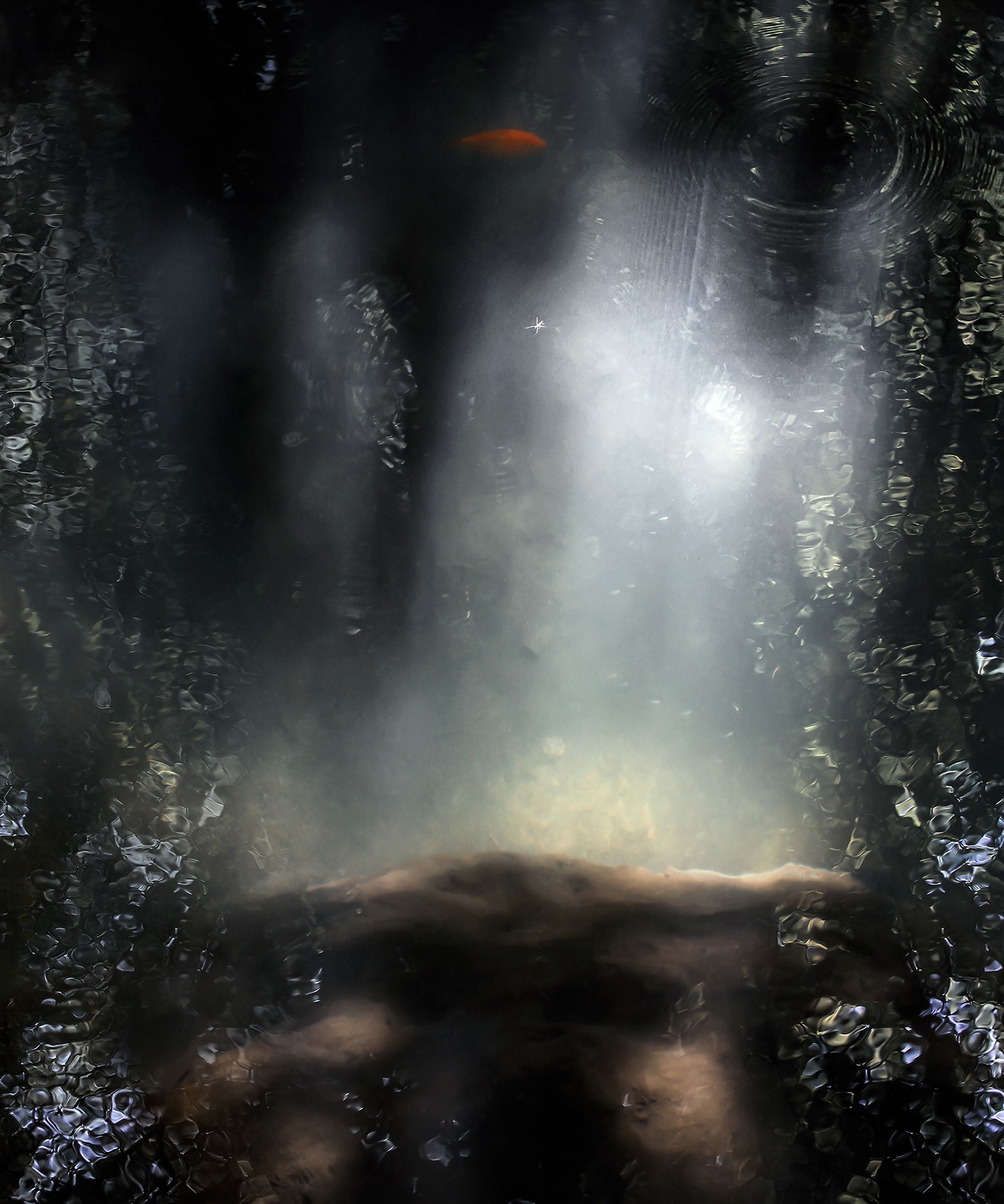 Kala kulgeb läbi vee