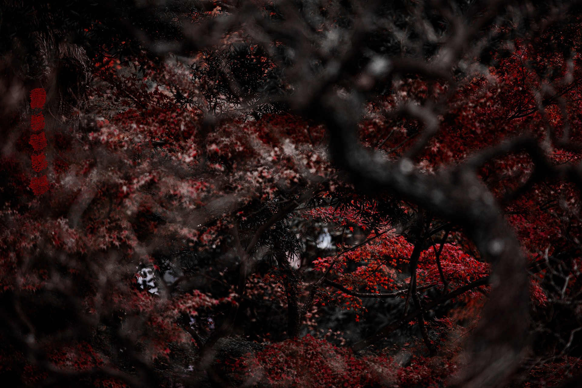 Kõik targad muudkui