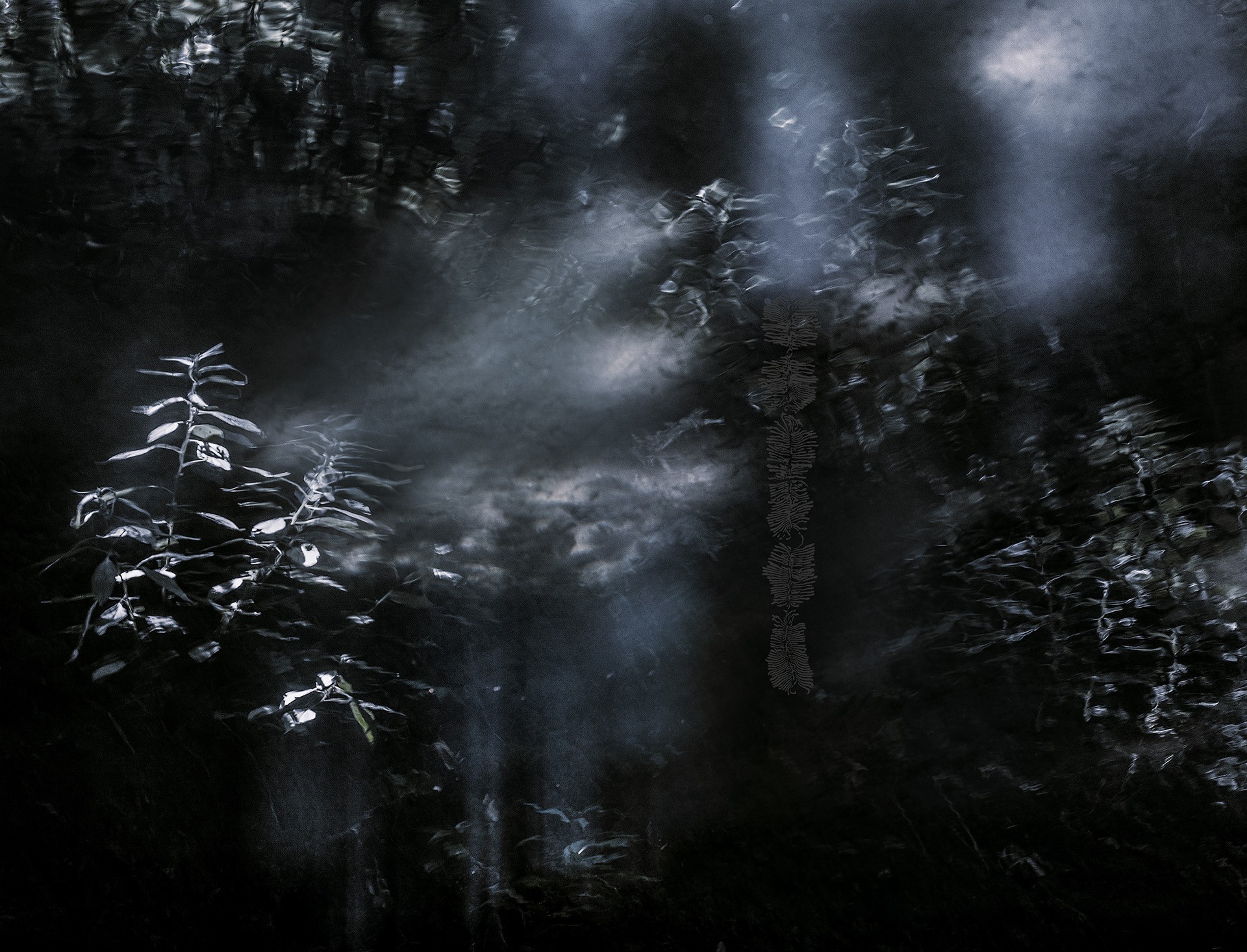 Kui inimene jõuab selguseni