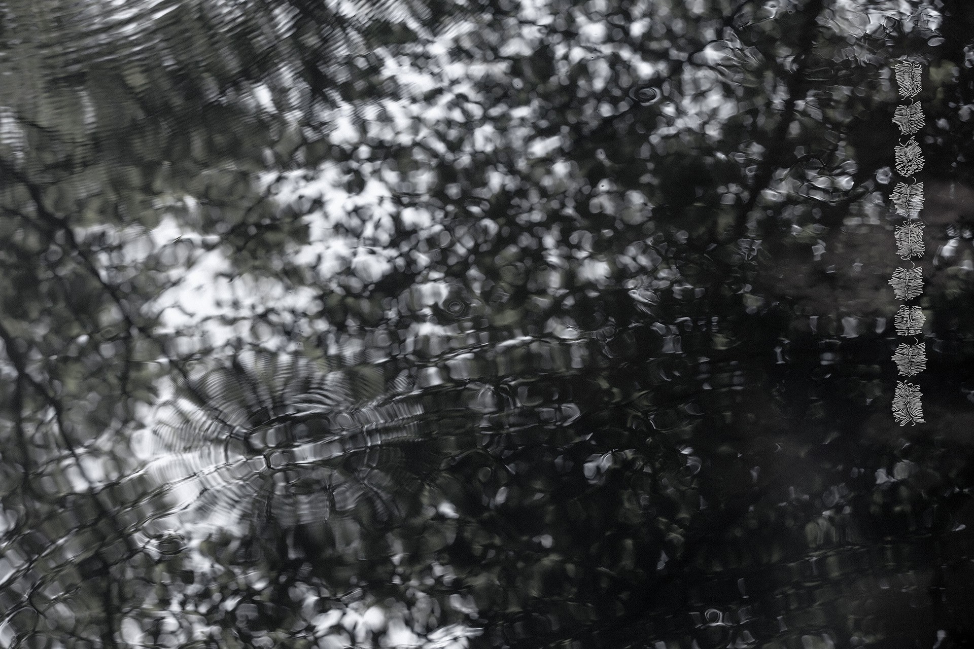 Küttepuudest saab tuhk