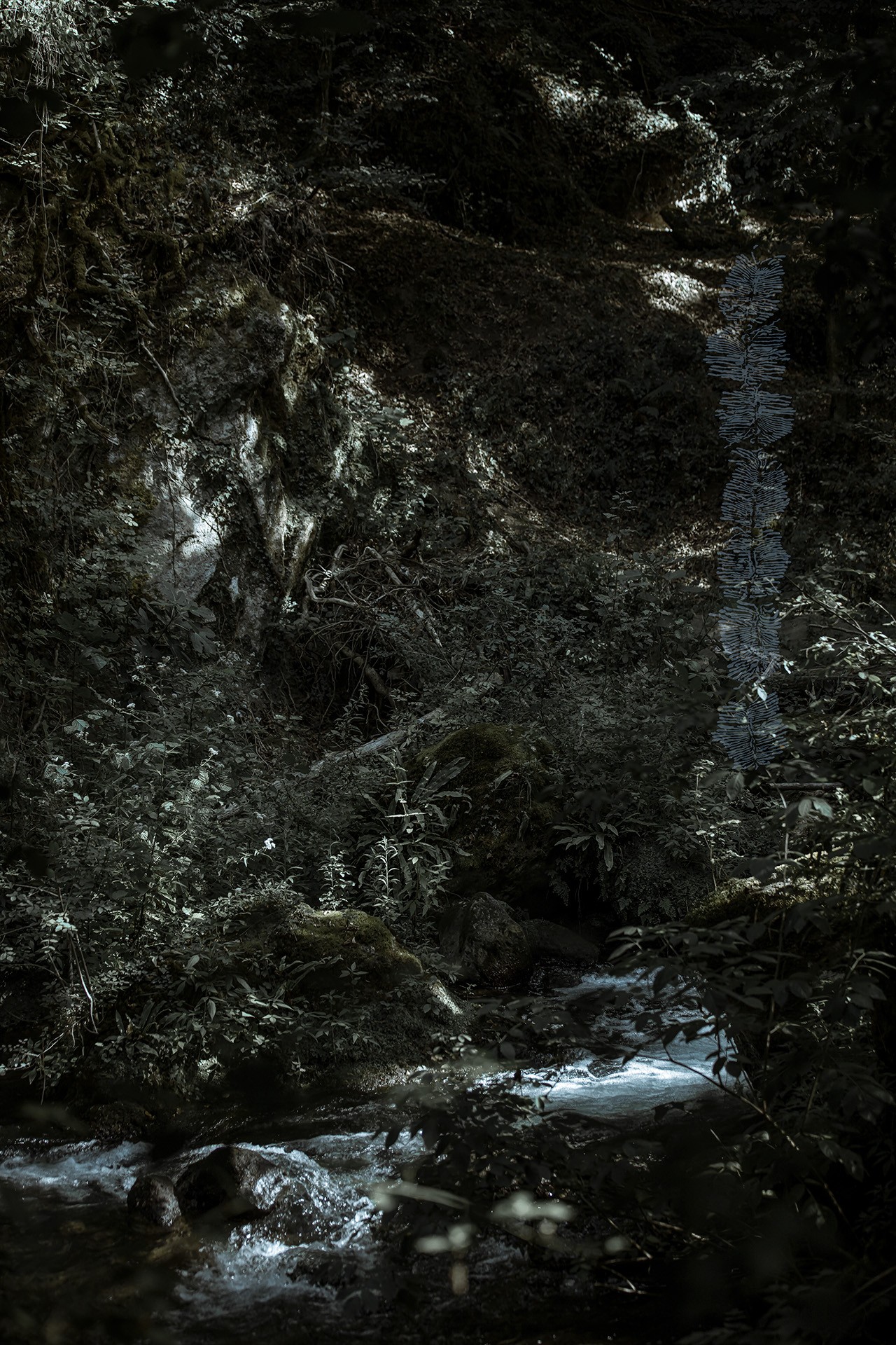 Justpraeguse hetke mäed ja veed