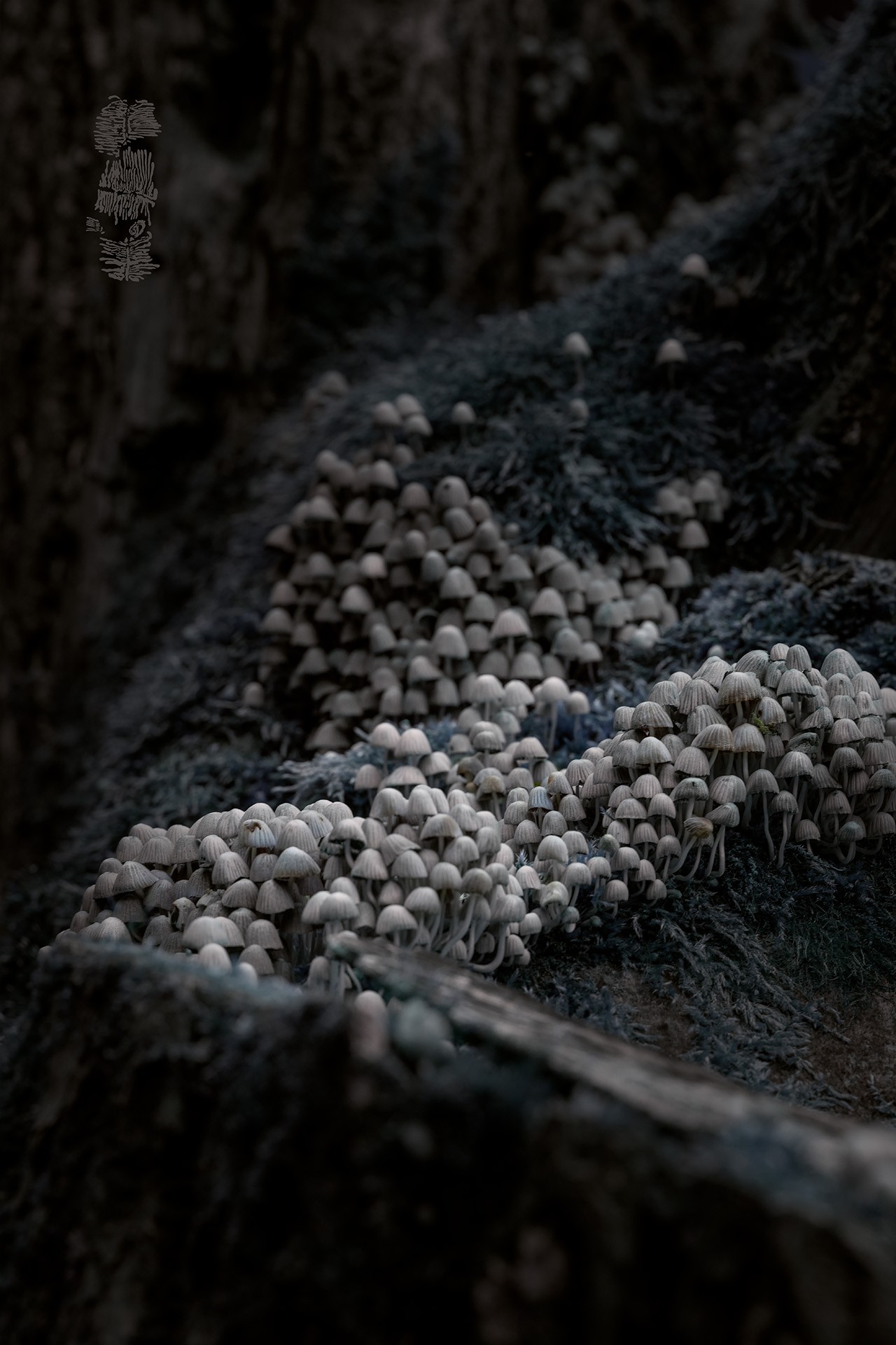 Minad seisavad ritta