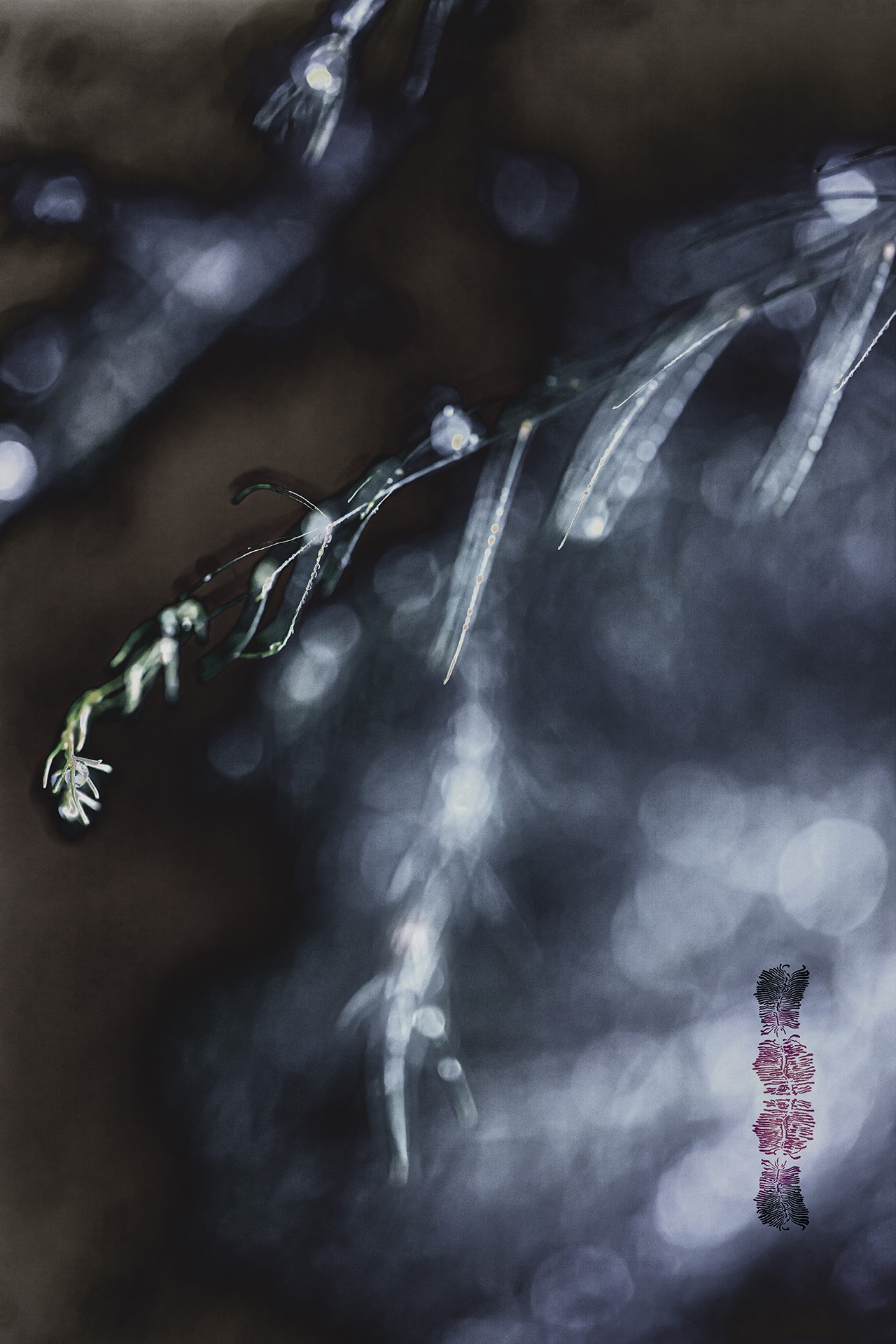 Uurida õpetust tähendab