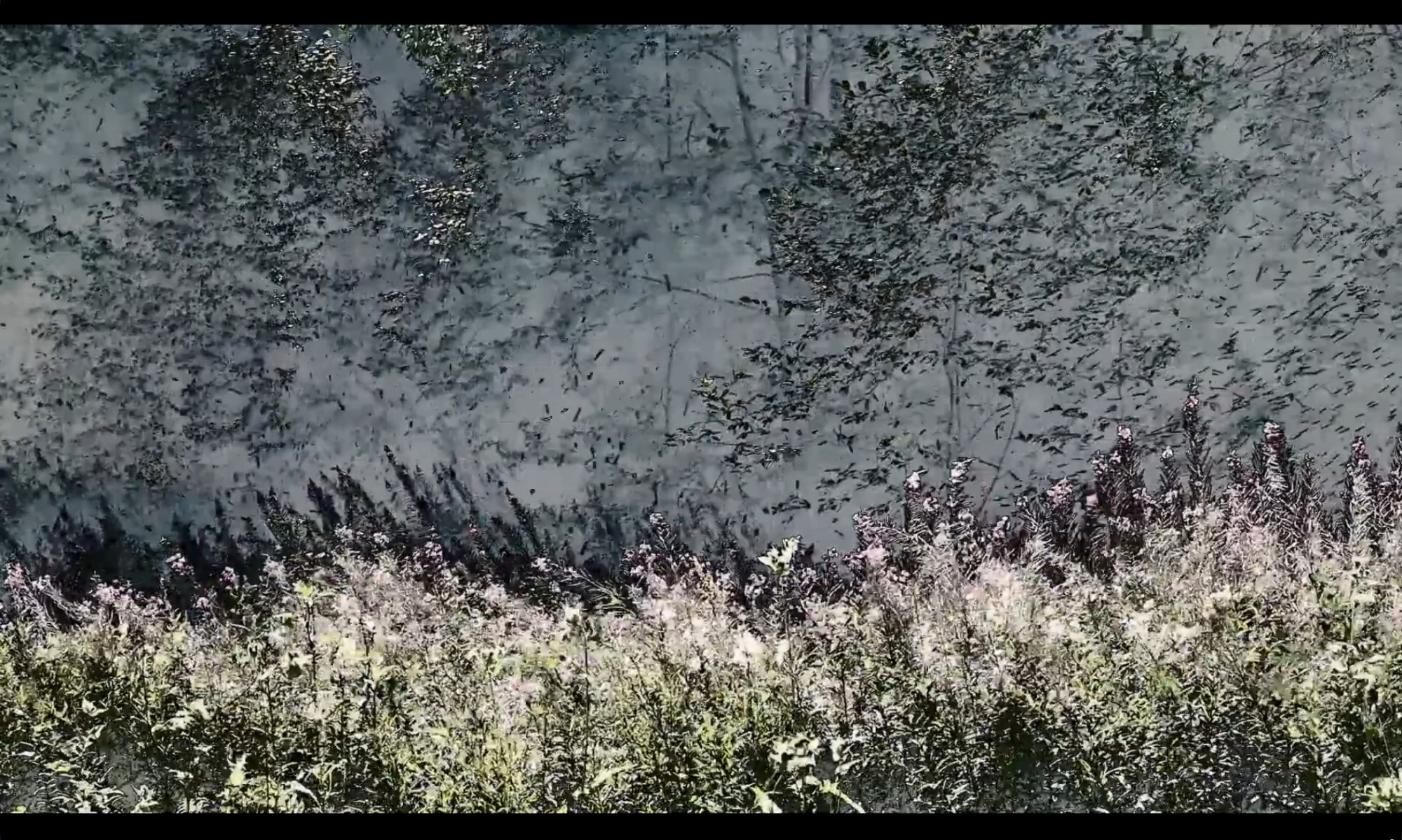 Millest rumalad õpetlased