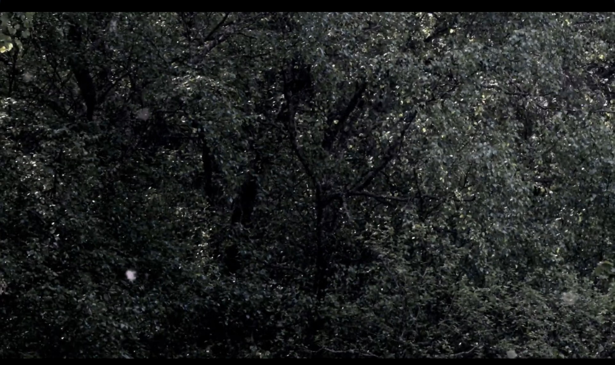 Mis hoiab liikumises