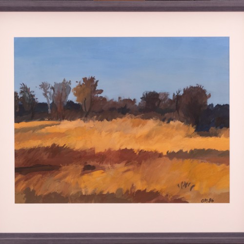 Sügismotiiv Harku järvelt