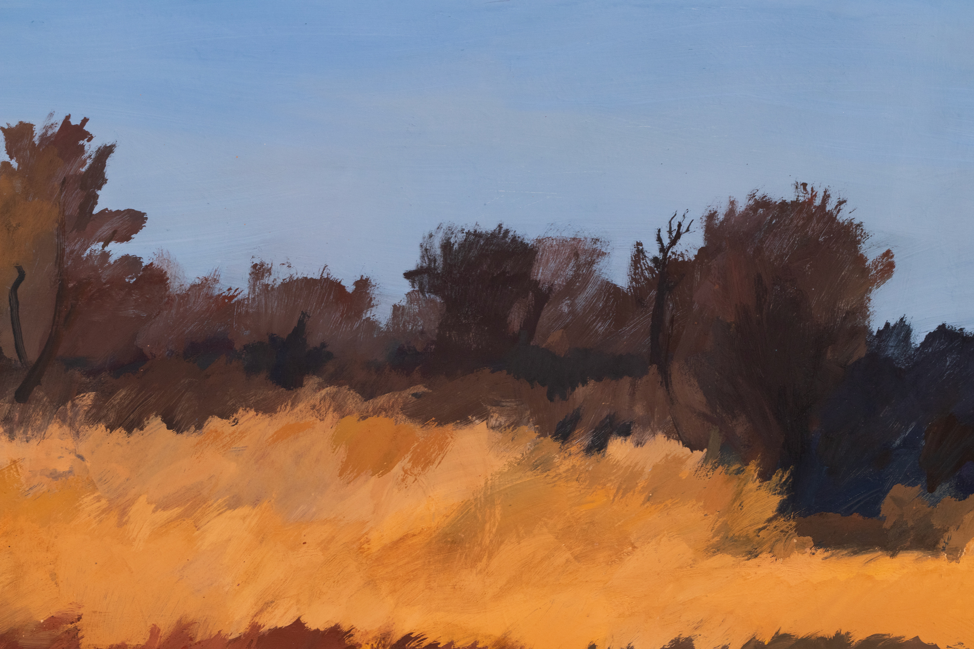 Sügismotiiv Harku järvelt