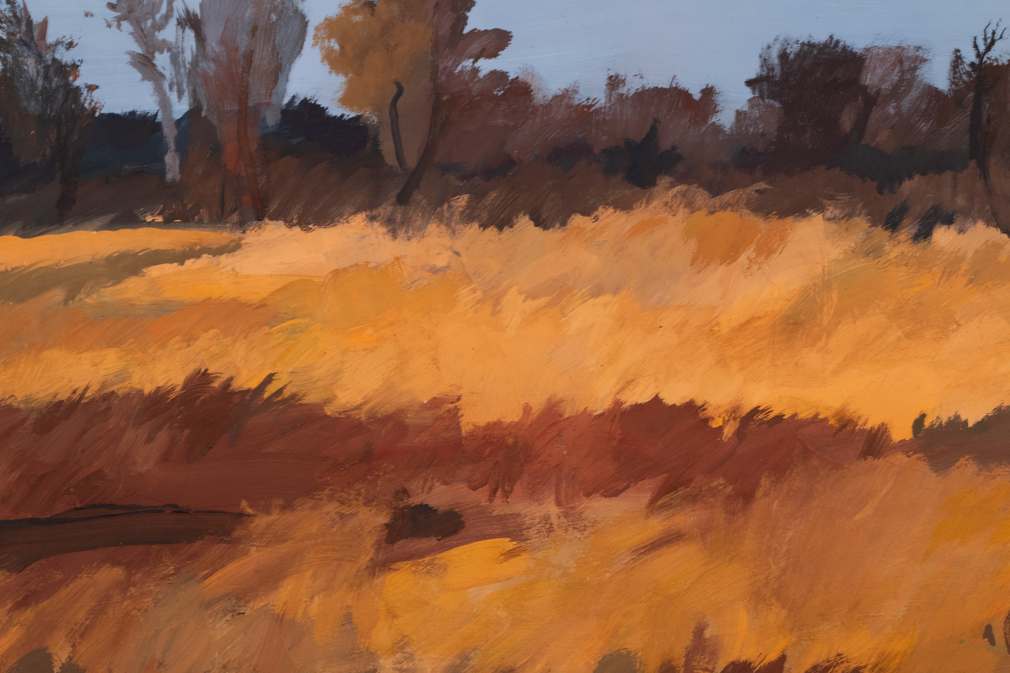 Sügismotiiv Harku järvelt