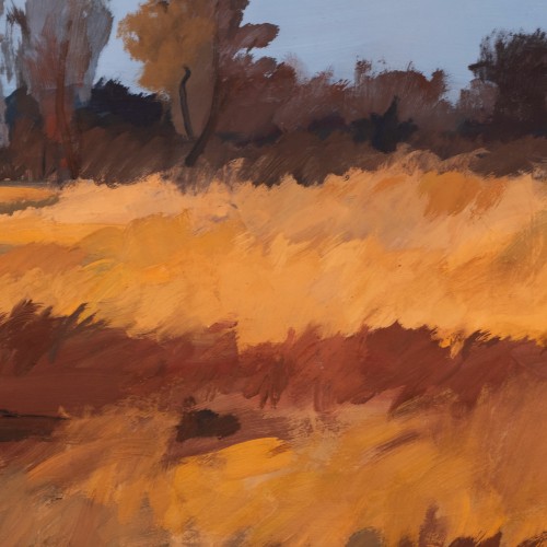 Sügismotiiv Harku järvelt