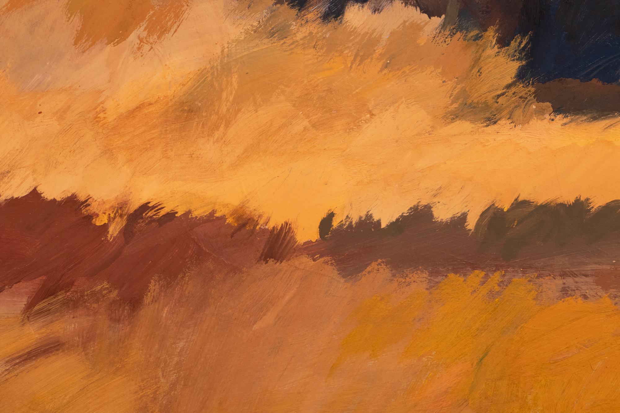 Sügismotiiv Harku järvelt