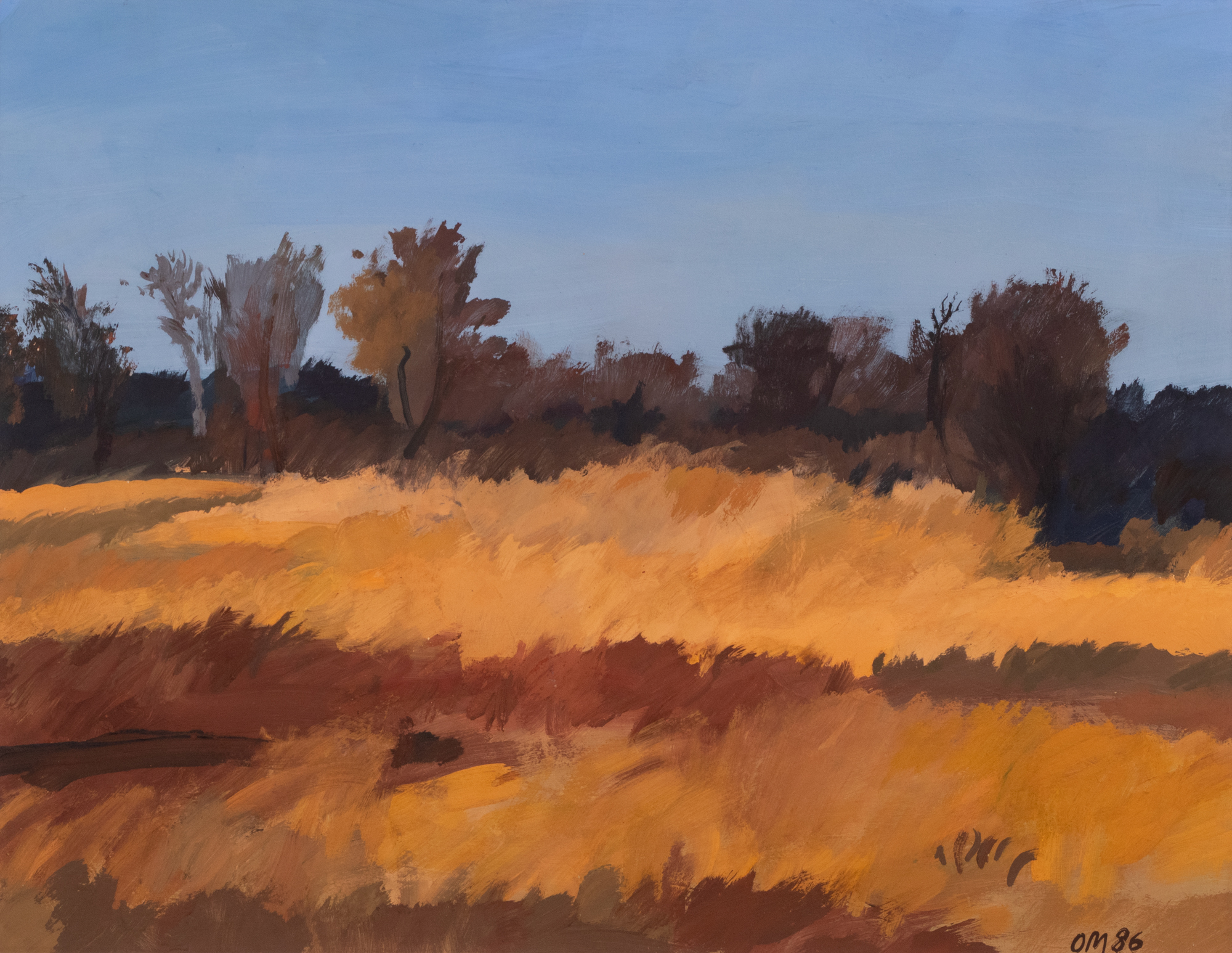 Sügismotiiv Harku järvelt