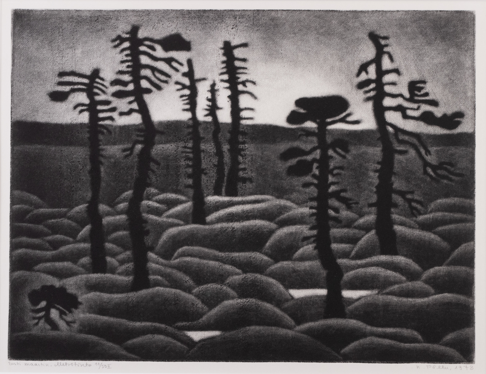 Estonian Landscape