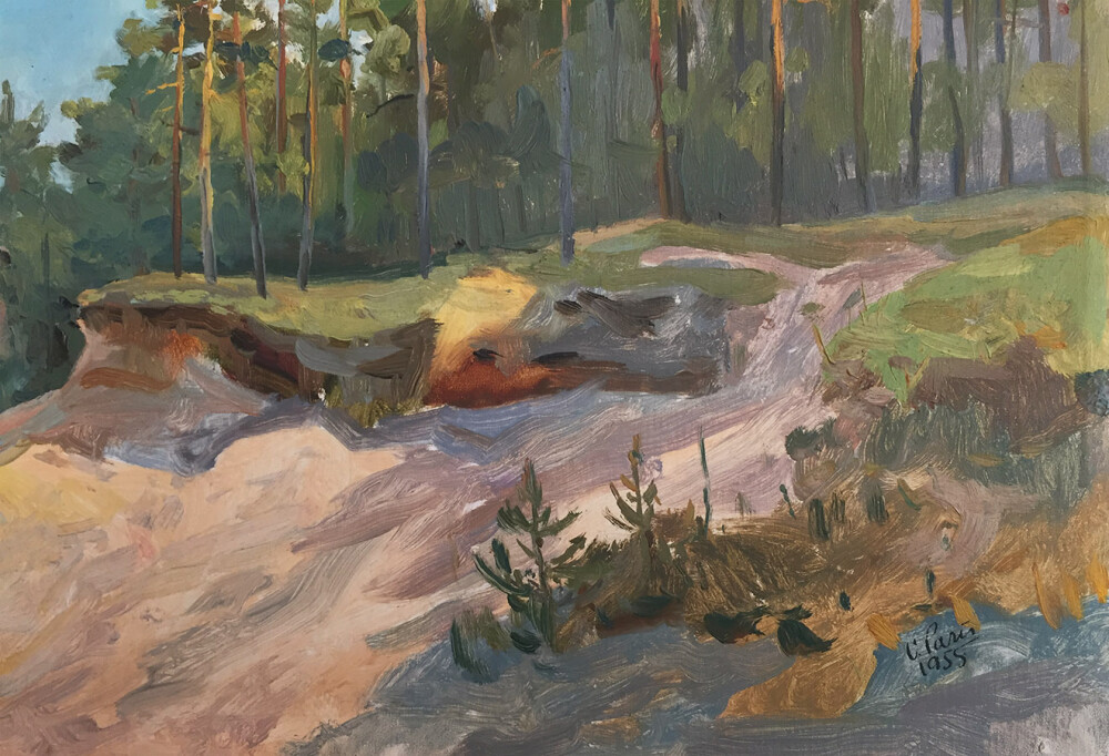 Maastik männimetsaga