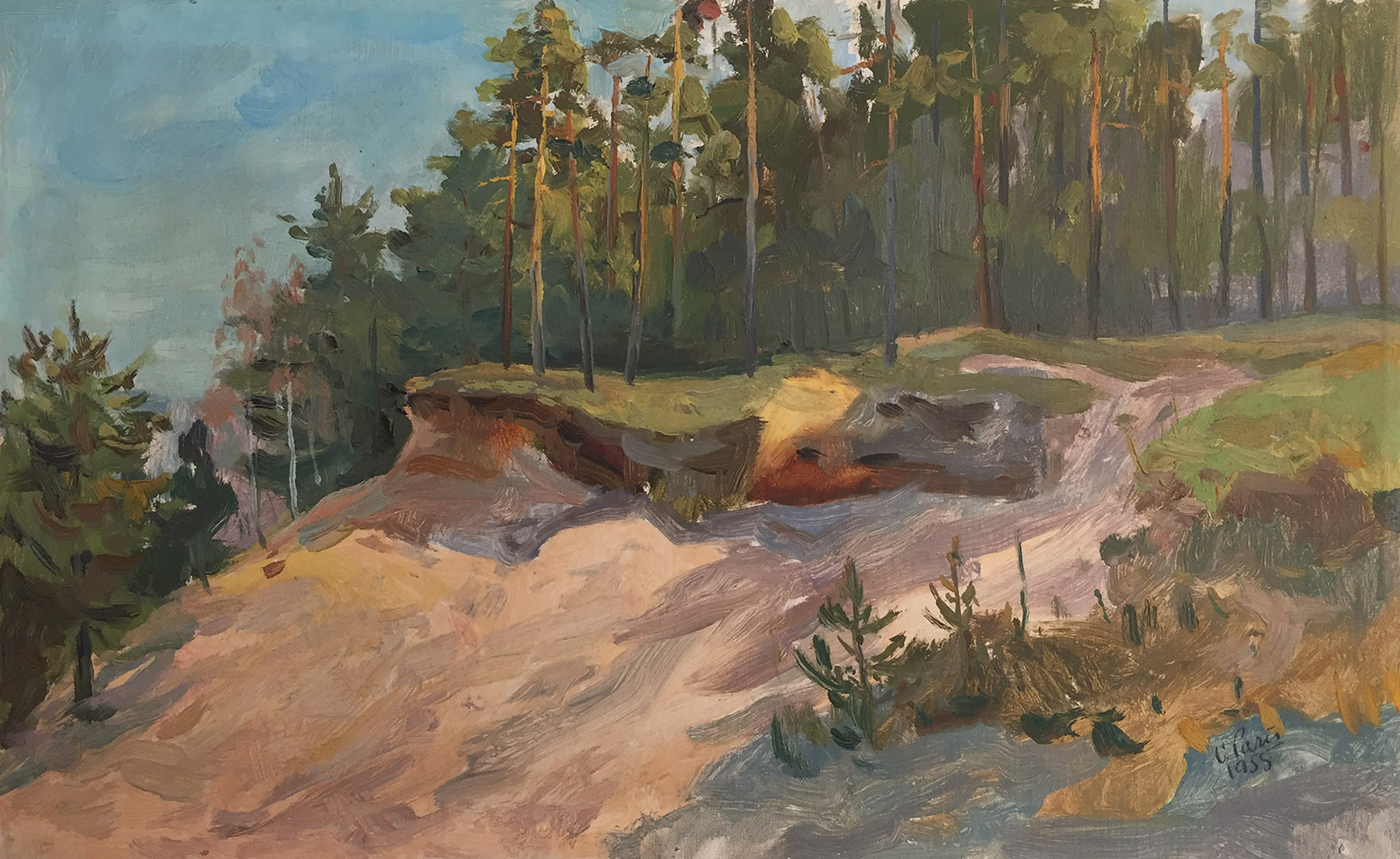 Maastik männimetsaga