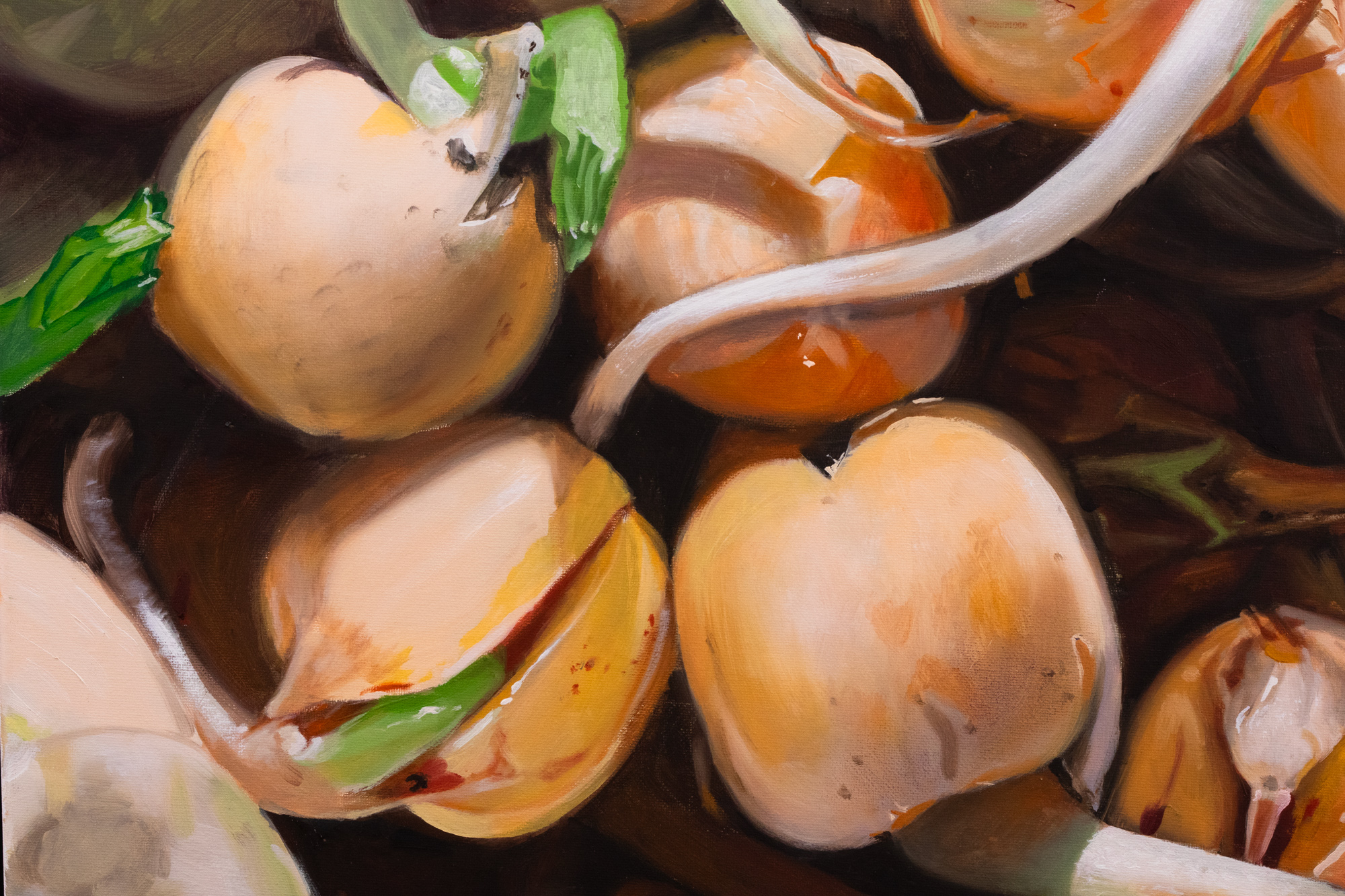 Secret Garden. Pisum sativum