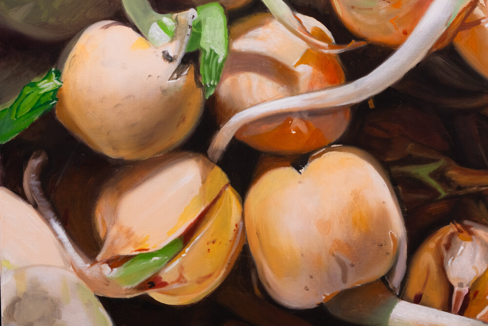 Secret Garden. Pisum sativum