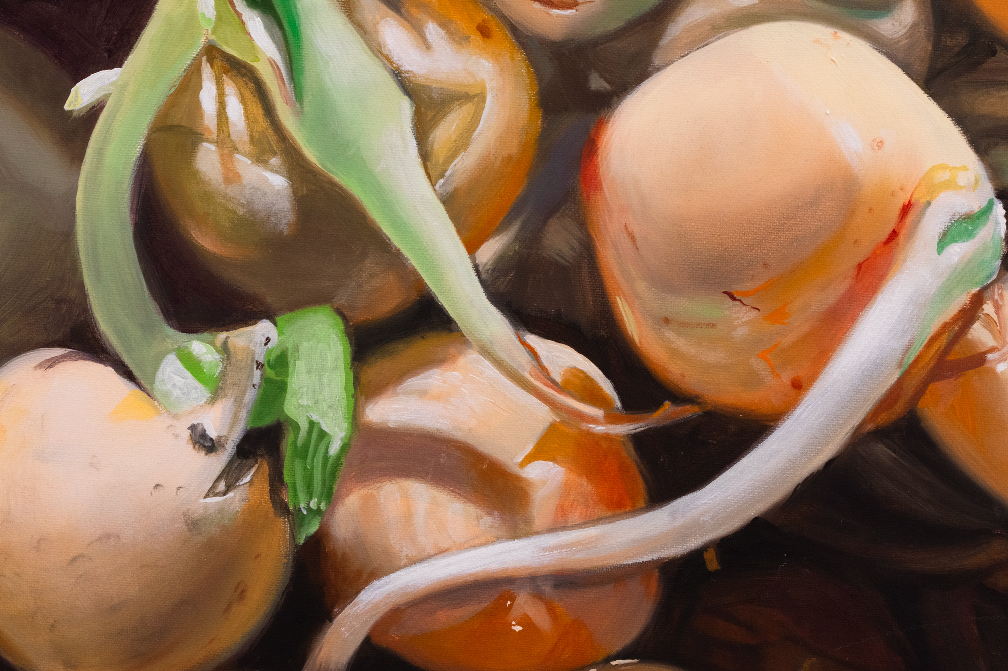 Secret Garden. Pisum sativum