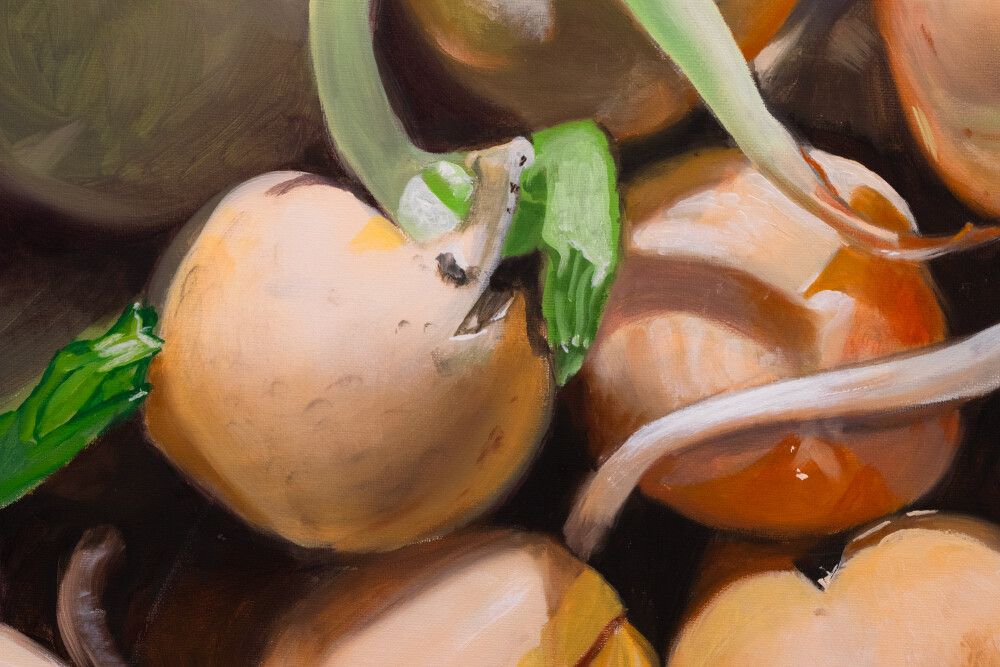 Secret Garden. Pisum sativum