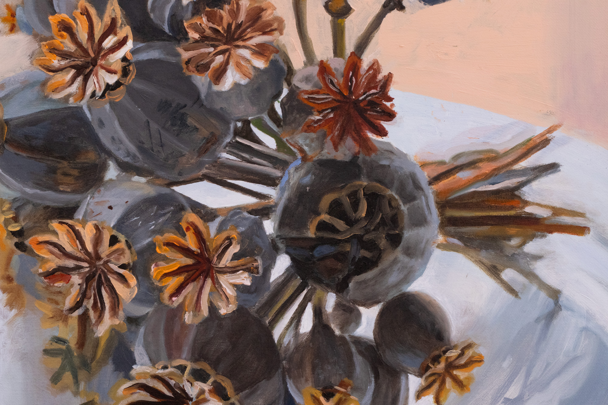 Secret Garden. Papaver Somniferum