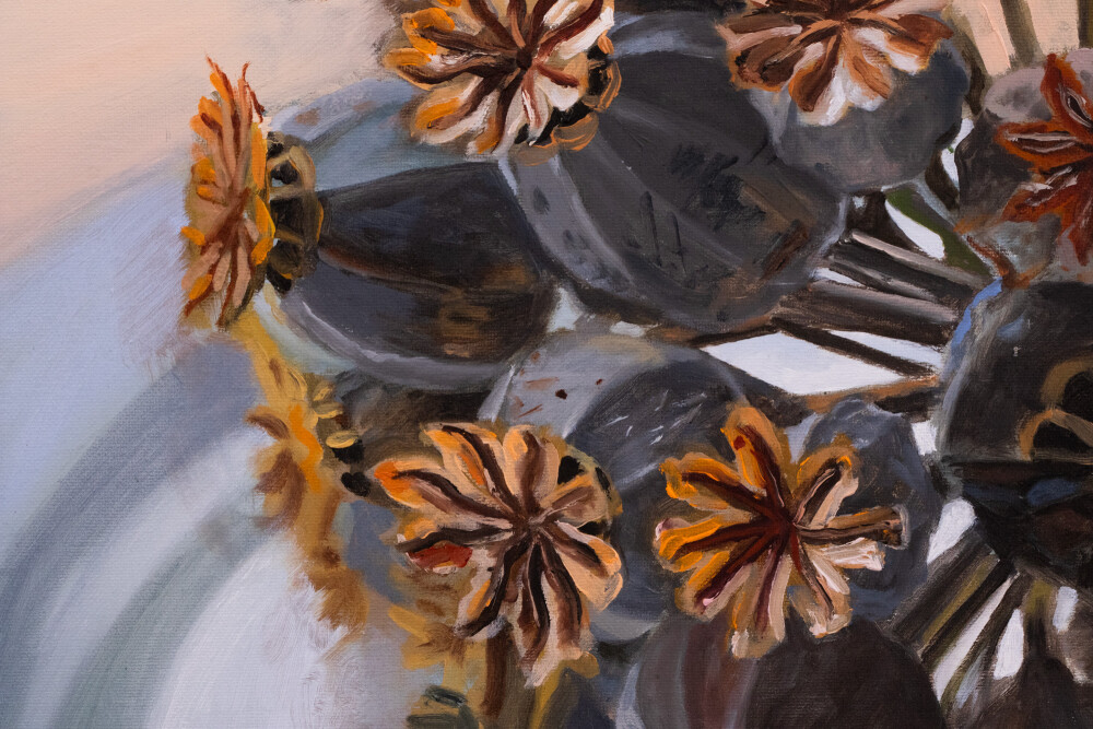 Secret Garden. Papaver Somniferum