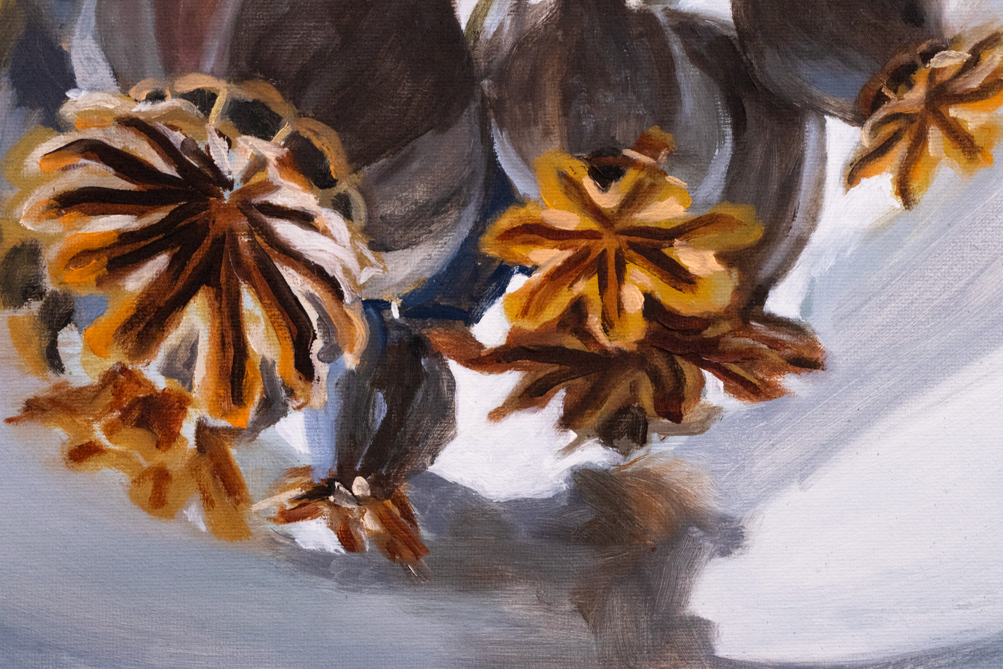 Secret Garden. Papaver Somniferum