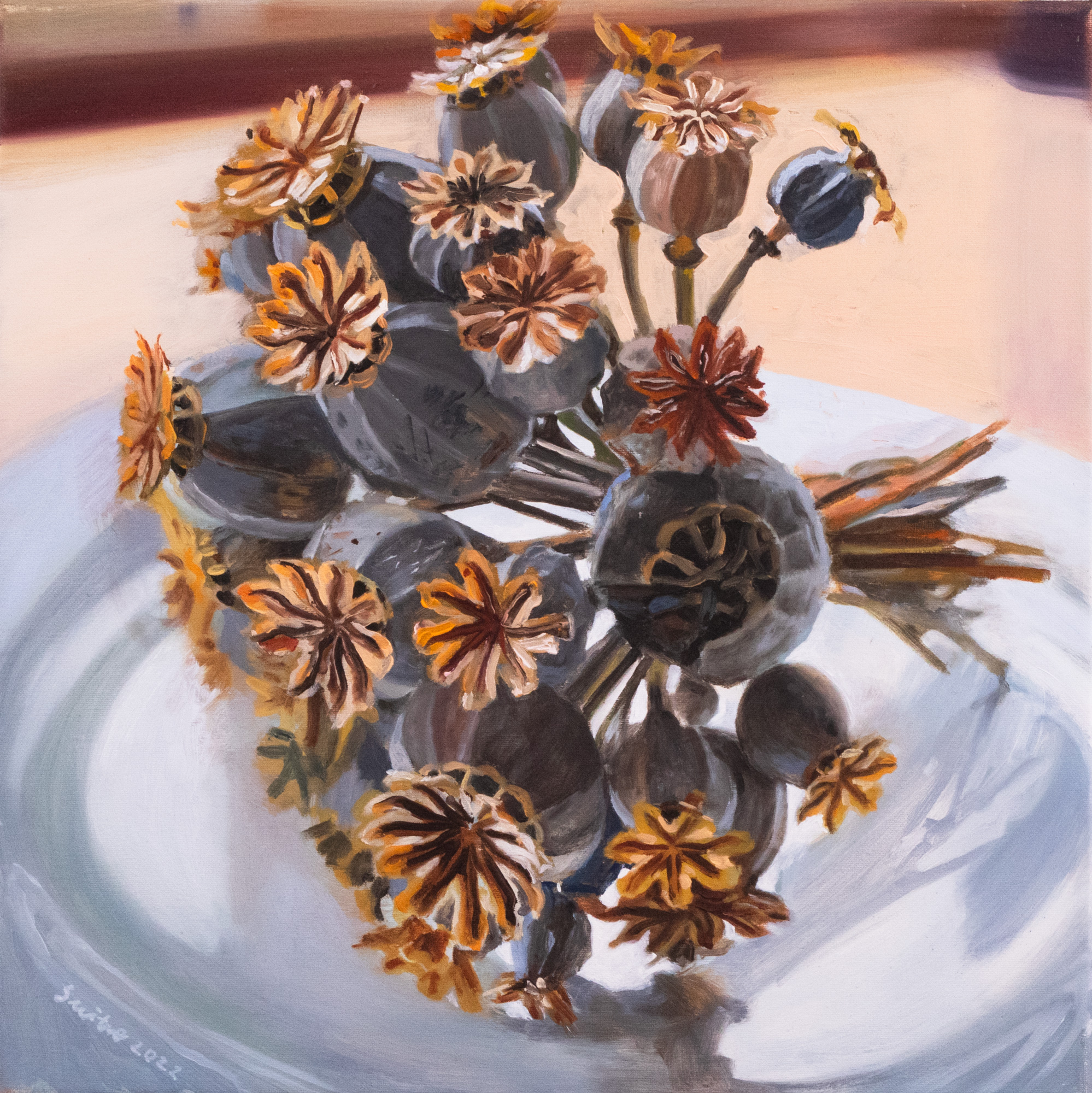 Secret Garden. Papaver Somniferum