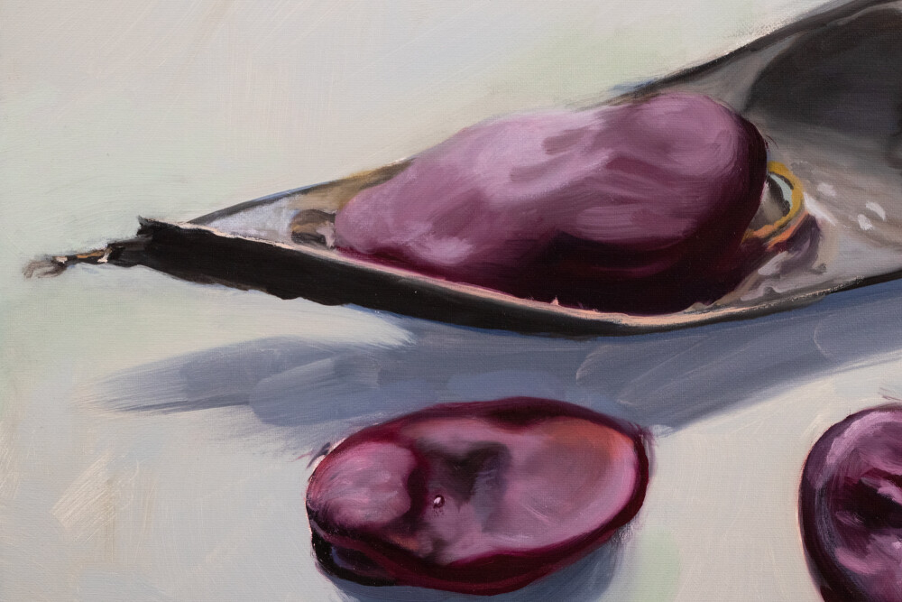 Secret Garden. Vicia faba