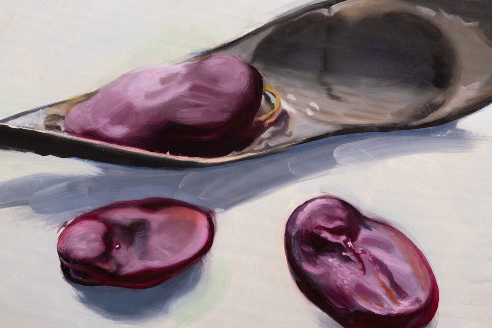 Secret Garden. Vicia faba