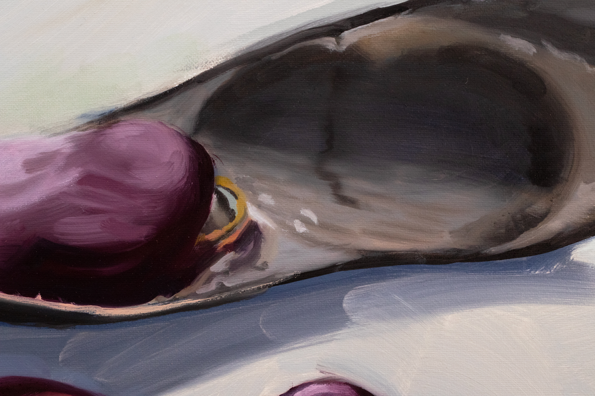 Secret Garden. Vicia faba