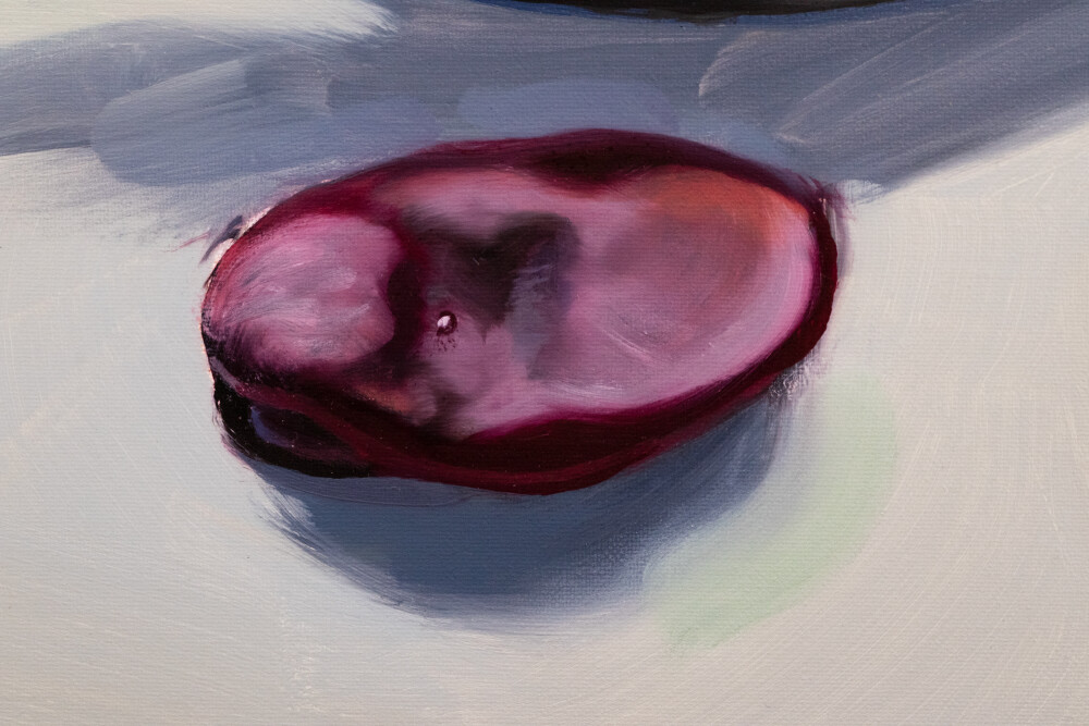 Secret Garden. Vicia faba