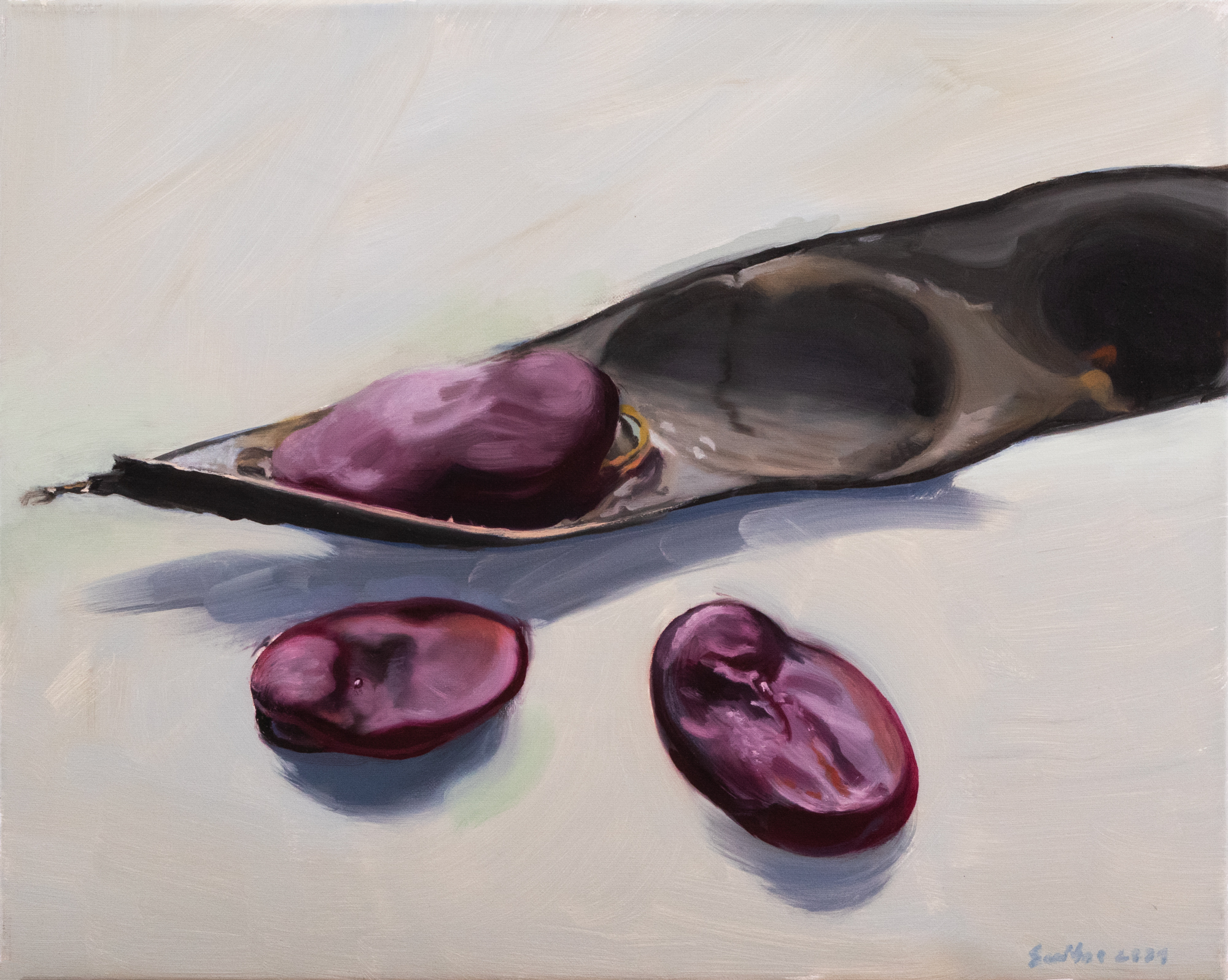 Secret Garden. Vicia faba