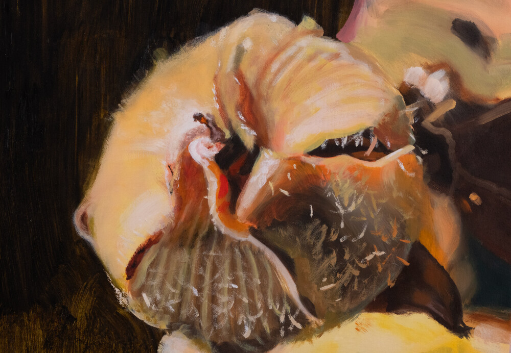 Secret Garden. Alcea Rosea