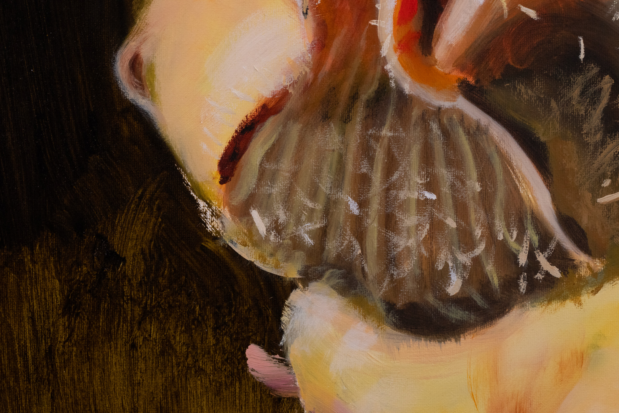 Secret Garden. Alcea Rosea