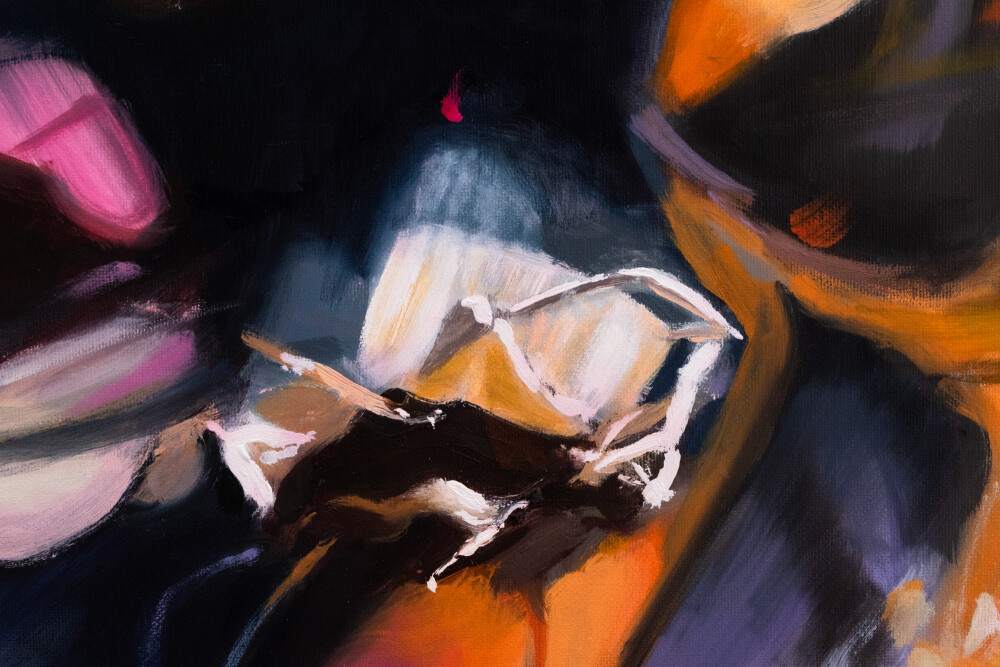 Secret Garden. Dianthus barbatus