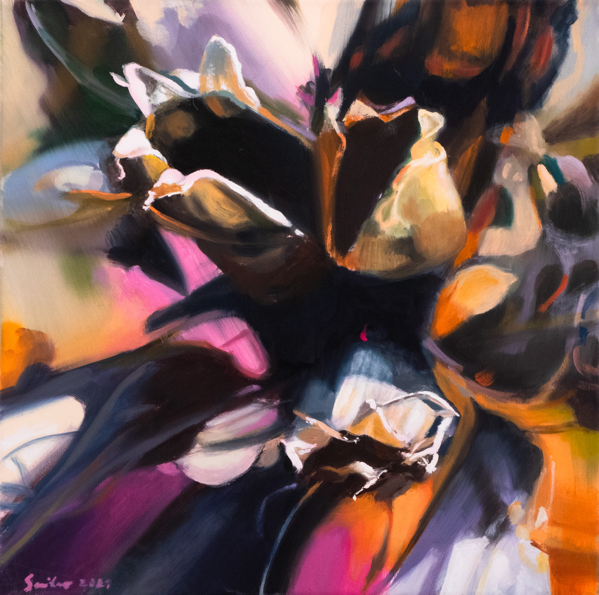 Secret Garden. Dianthus barbatus