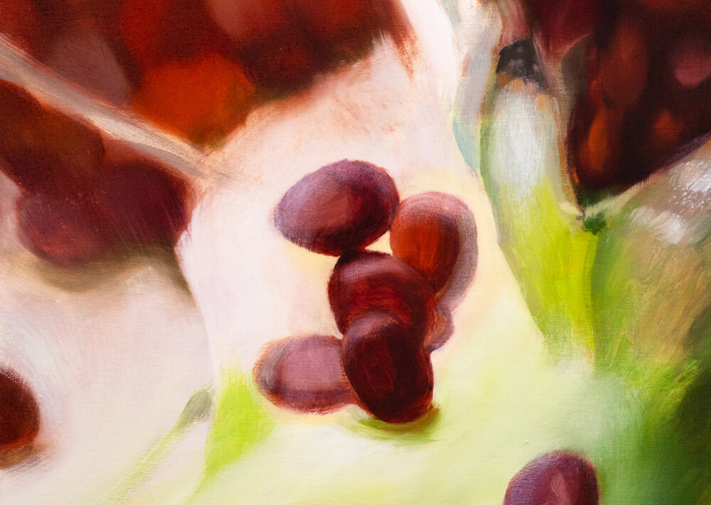 Secret Garden. Origanum majorana